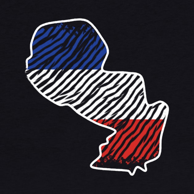 Paraguay South America Tshirt by thefriendlyone